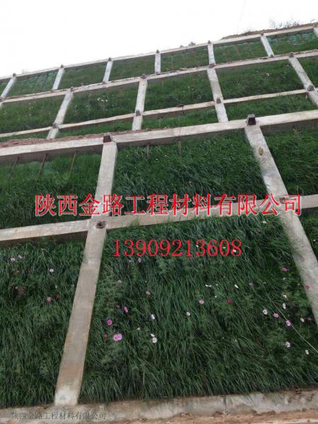 组合案例