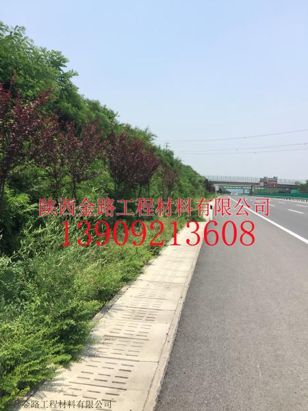 西安机场专用高速水土保持生态示范工程